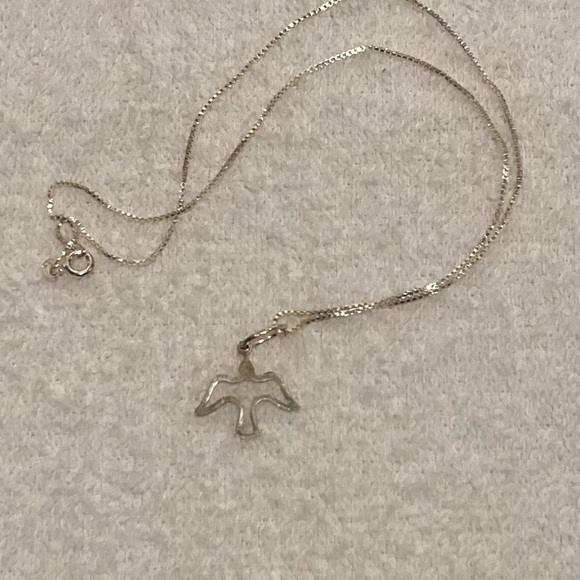 Jewelry - NWOT Silver necklace with dove charm
